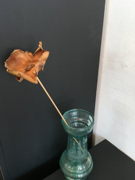 Wood rose
