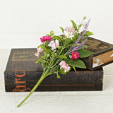 Pink Cream Daisy with Mix Leaves Bush