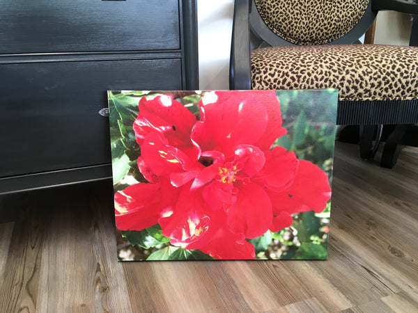 Vibrant Red Flower Canvas