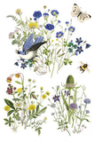 FLORA GRECA IOD TRANSFER 8X12 PAD