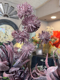 Purple Dandelion spray
