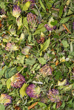 Immunity Herbal Tea