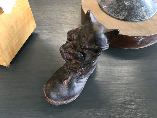 Kitten in Boot