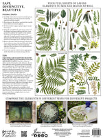 Fronds IOD TRANSFER 12X16 PAD