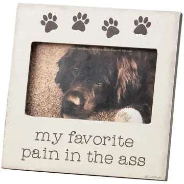 Favorite pain in the