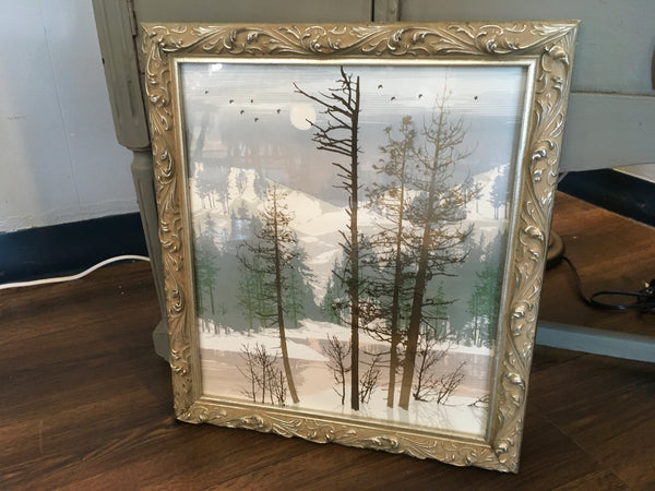 Winter Woods