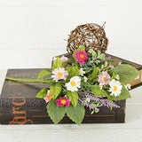 Pink Cream Daisy with Mix Leaves Bush
