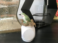 Sitting Birds