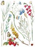 MARCHÉ DES FLEURS IOD TRANS