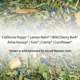 Dream Herbal Tea
