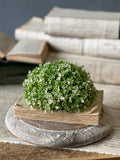 Bloom half sphere
