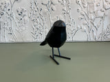 Bernie the Black Crow