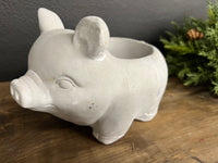Concrete pig planter