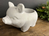 Concrete pig planter