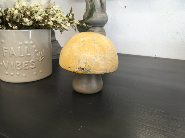 Painted Mushroom