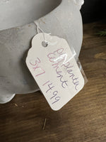 Concrete pig planter
