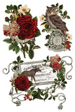 Winter 2026 STAG TAVERN IOD TRANSFER 8X12 PAD™