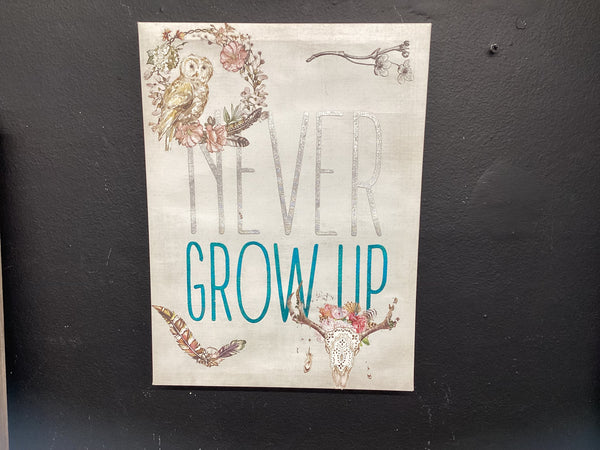 Never Grow Up