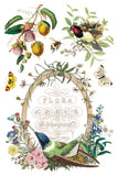 FLORA GRECA IOD TRANSFER 8X12 PAD