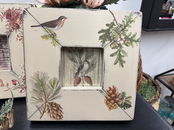 Christmas bird w pine picture