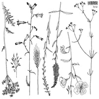 Sprigs 12X12 IOD STAMP