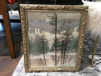Winter Woods