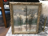 Winter Woods