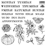 Winter 2026 A TIMELY TALE 6X6 IOD STAMP™
