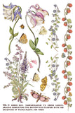 PRIMROSE ISLE IOD TRANSFER 8X12 PAD™