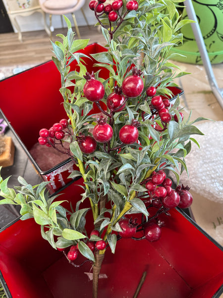 Tallow berry & greens