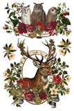 Winter 2026 STAG TAVERN IOD TRANSFER 8X12 PAD™