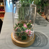 Huge Terrarium