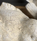 Crackle milk paint aged look Stone  Bird