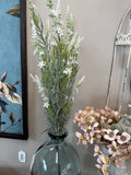 White Lavender Bush