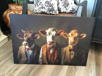 Cows in Suits Picture