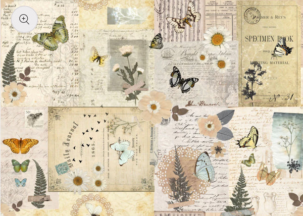 Pressed Flowers Masterboard Roycyled paper