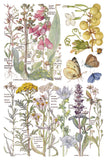 PRIMROSE ISLE IOD TRANSFER 8X12 PAD™