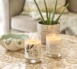 Jasmine and Orange Blossom Candle  - Just Bee Candles