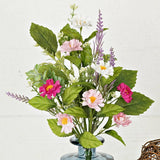 Pink Cream Daisy with Mix Leaves Bush