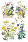 FLORA GRECA IOD TRANSFER 8X12 PAD