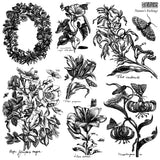 New Summer 2026 NATURE'S ETCHINGS 12X12 IOD STAMP 2 SHEETS™