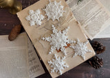 PREORDER Snowflakes 6X10 IOD MOULD