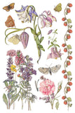 PRIMROSE ISLE IOD TRANSFER 8X12 PAD™
