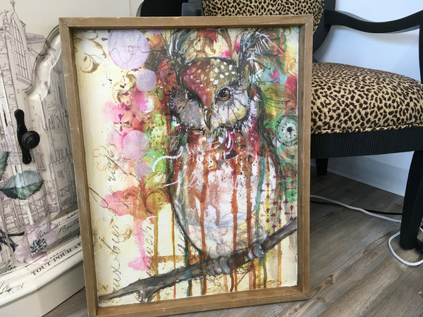 Owl Pic