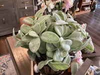 Lambs ear grand half sphere