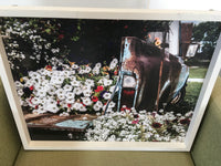 Truck with Petunias