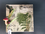 Industrial Master-board Art Pic