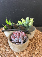 Birds and faux succulents in wood cups