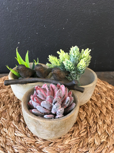 Birds and faux succulents in wood cups