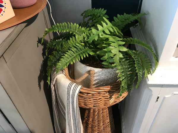 Faux Fern
